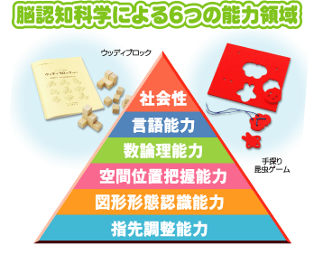 脳認知科学による６つの能力領域